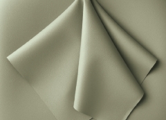 Pale Olive (T-PO)