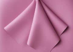 Soft Rose (T-SR)
