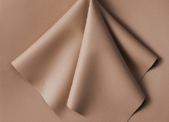 Clay（T-BE）