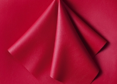 Deep Red（T-RE）
