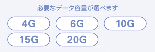 必要なデータ容量が選べます