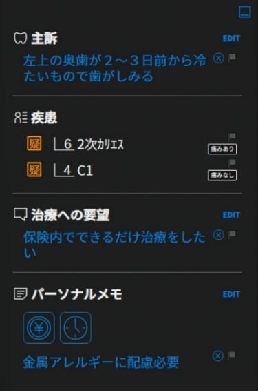 患者情報エリア - 主訴
