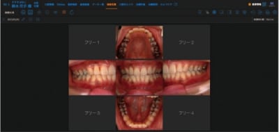 規格写真