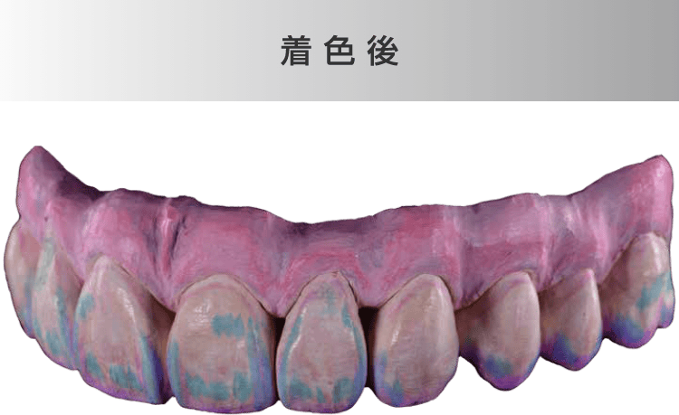 塗布例 - 着色後