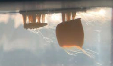 造形物の細部を洗浄する様子