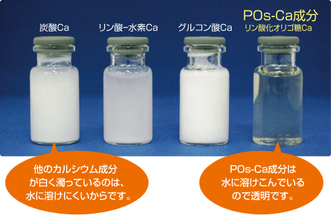 POs-Ca成分