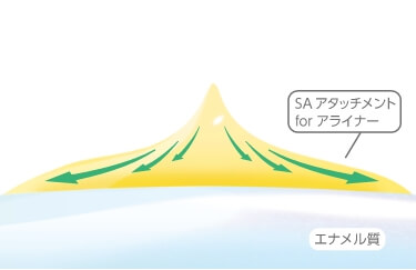エナメル質との馴染み