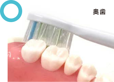 正しいブラシのあて方1