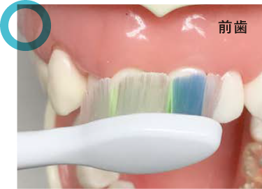 正しいブラシのあて方2