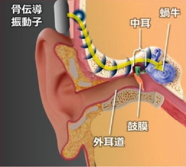 骨伝導経路
