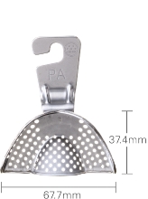 PA（上顎前歯）