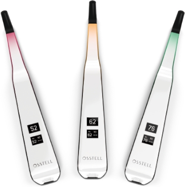 オステルビーコン