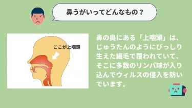 患者さん向け説明動画のサムネイル