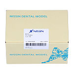 その他 NISSIN DENTAL MODEL PE-ANA009 複製歯牙着脱模型 [PE-ANA009(I21D-400C)]｜株式会社ニッシン｜歯科