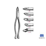 抜歯鉗子 オンラインカタログ Internet Do 株式会社モリタ