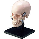 株式会社ニッシン｜オンラインカタログ internet DO【株式会社