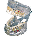 株式会社ニッシン｜オンラインカタログ internet DO【株式会社モリタ】