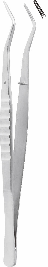 根管充填ピンセット ＃2｜オンラインカタログ internet DO【株式