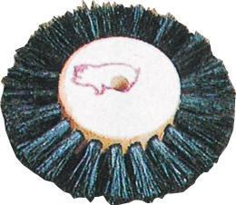 レーズブラシ（豚） 2列 10入｜オンラインカタログ internet DO【株式