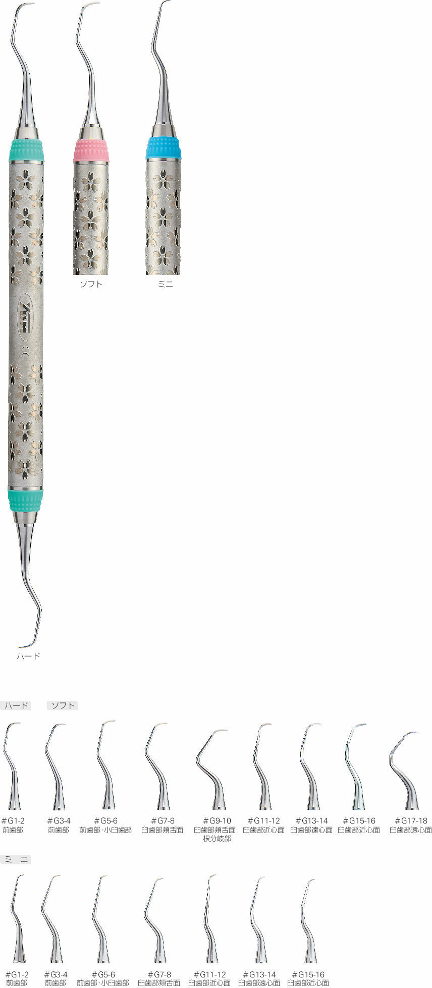Gキュレット est2 サクラ H #G11-12｜オンラインカタログ internet DO  