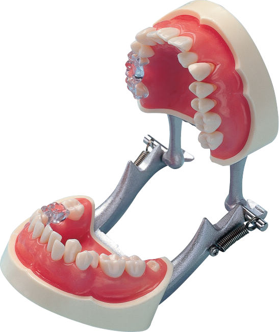 模型製作用品 歯科技工 モリタ製作所PAL 切削工具 模型製作用ルーター稼動品 模型製作用品 歯科技工 モリタ製作所PAL 切削工具 模型製作用