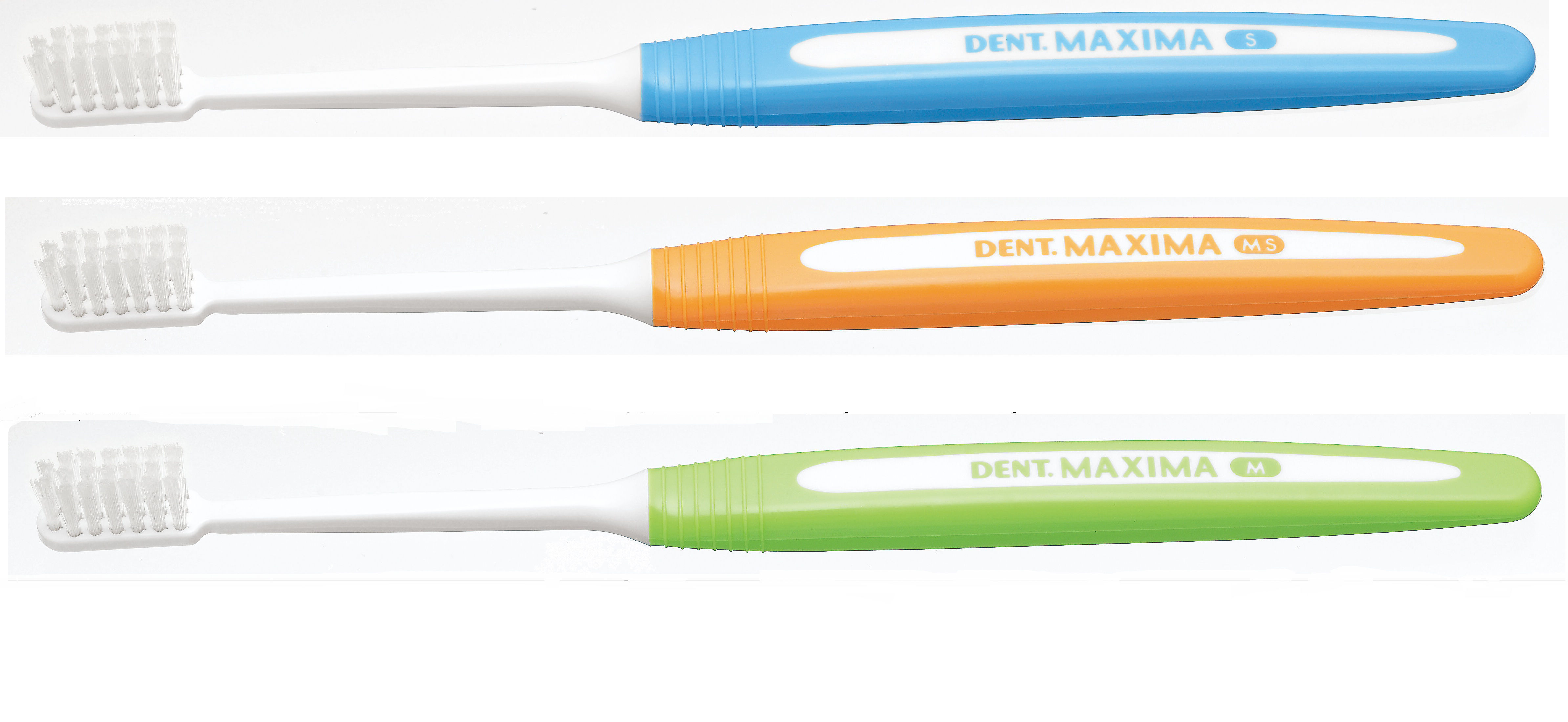 DENT．MAXIMA NEW｜オンラインカタログ internet DO