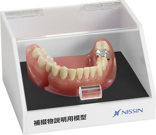 NISSIN DENTAL MODEL 顎模型 歯科の通販 by sana.｜ラクマ ニッシン歯